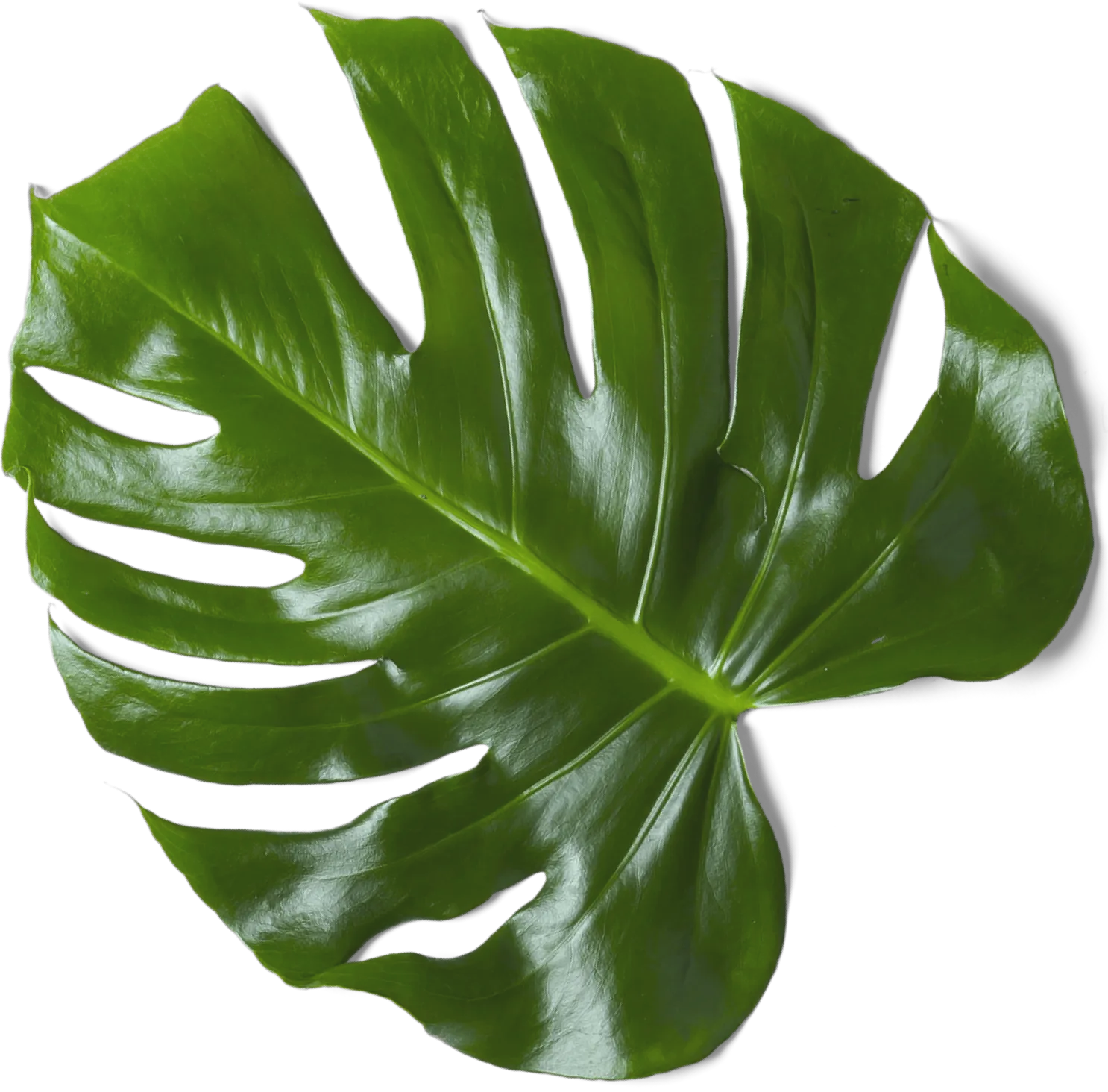 The #1 Personal Care Monthly Box - Wellbeing Template