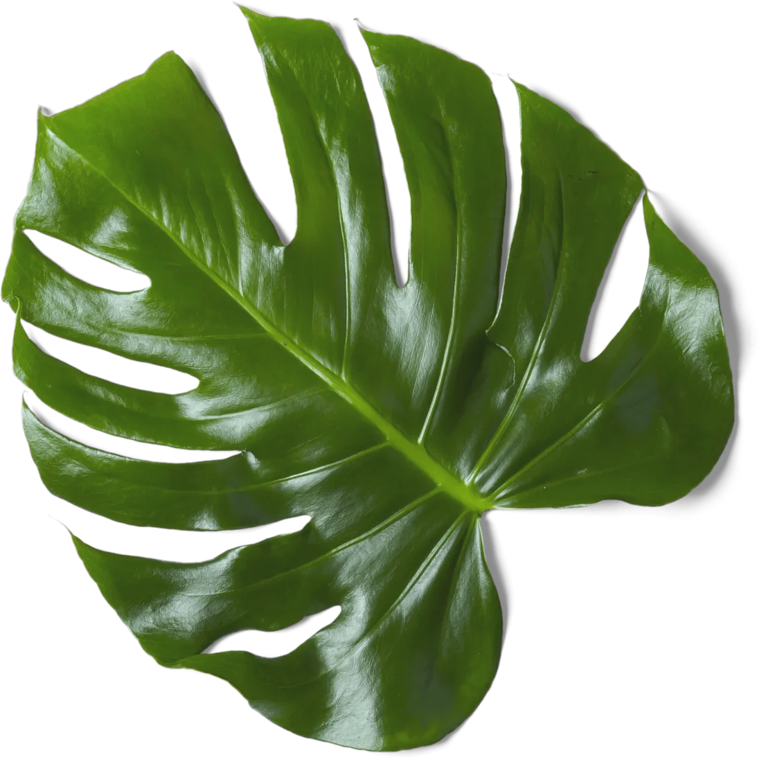 Subscribe And Get 10% OFF - Wellbeing Template