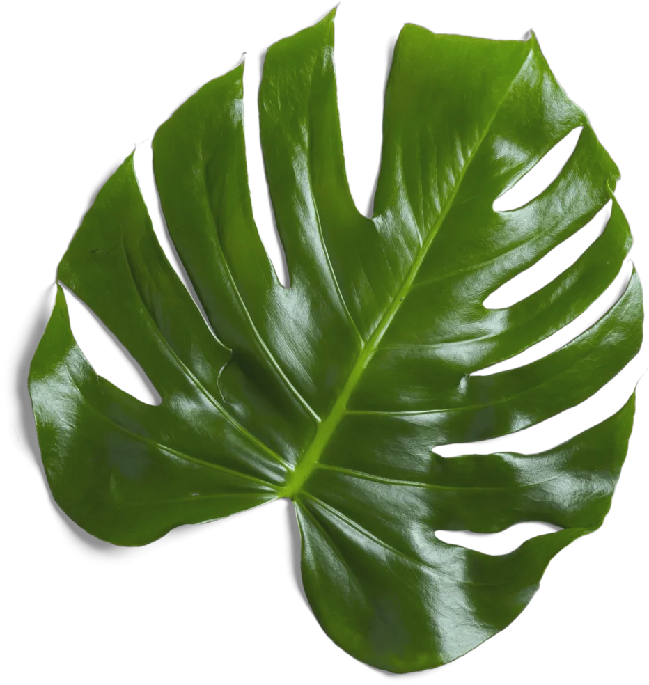 A Monthly Box Created For Premium Self-Care - Wellbeing Template